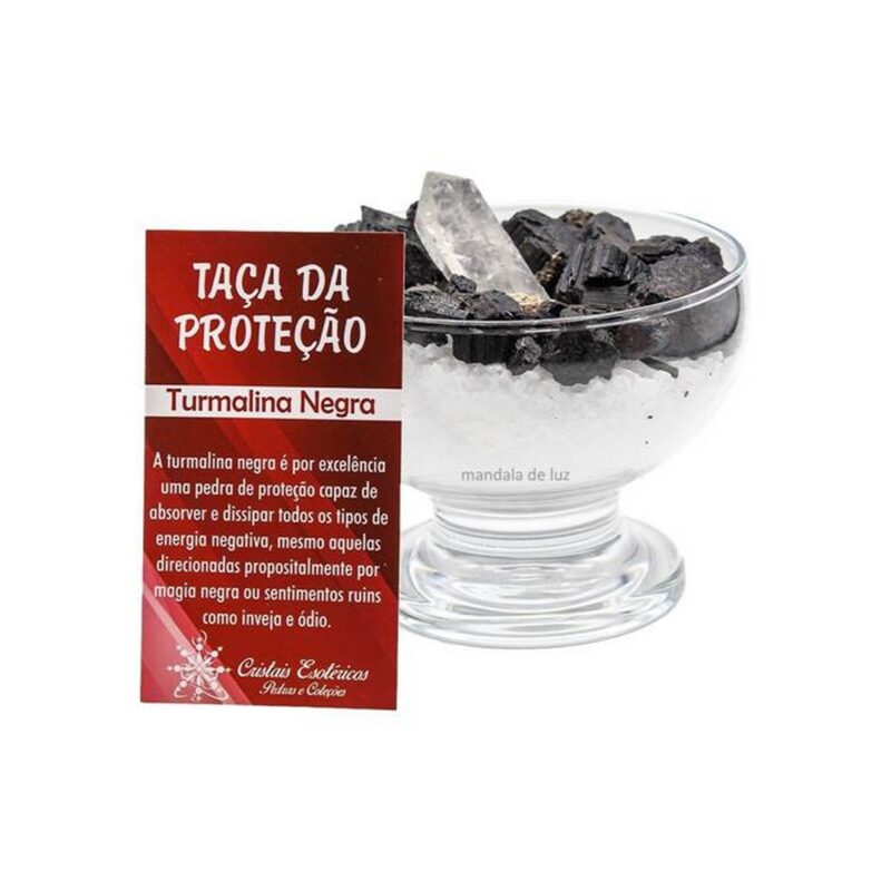 Taca da Protecao