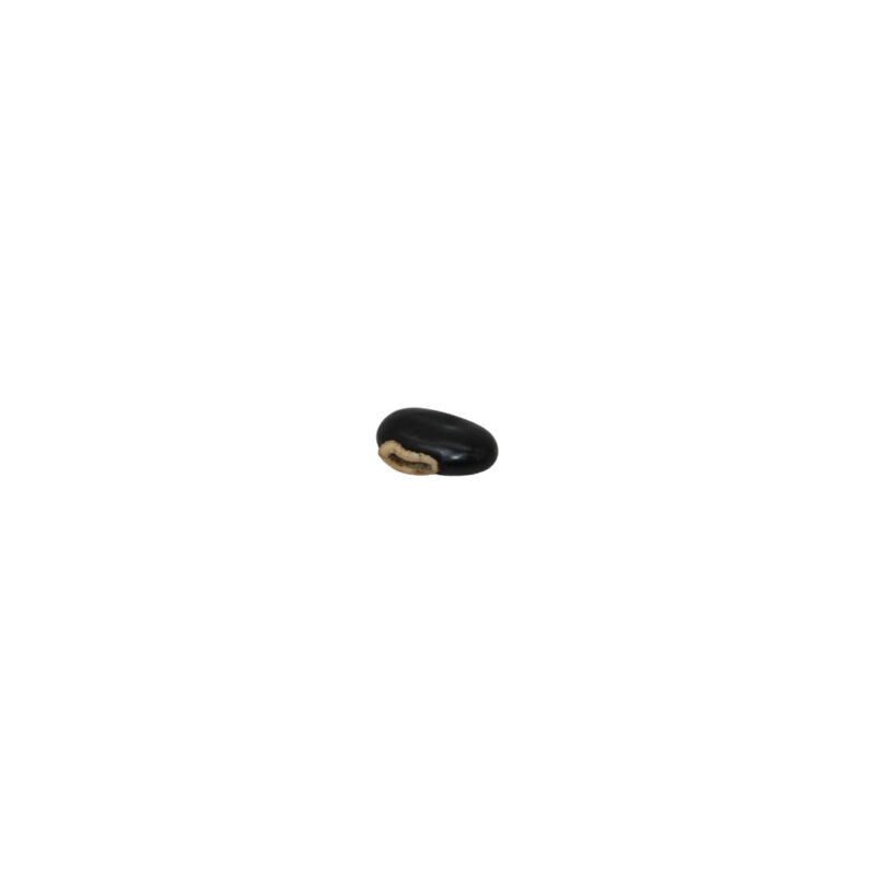 Fava Preto Velho