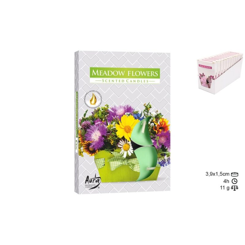 Vela T Light Flores do Campo- cx 6 und